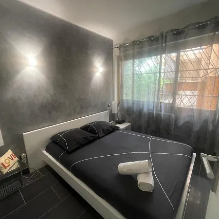 Apartamento Appt Palm Beach 100m De La Plage Croisette *
